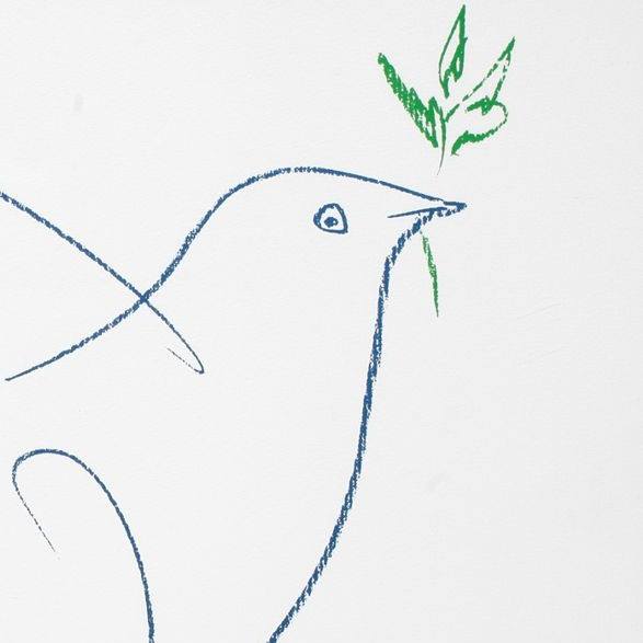 picasso pigeon drawing
